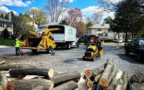 Best Arborist Consultation Services  in Stuarts Draft, VA