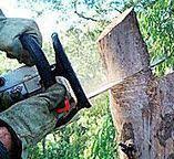 Best Hazardous Tree Removal  in Stuarts Draft, VA