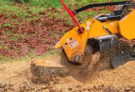 Best Seasonal Cleanup (Spring/Fall)  in Stuarts Draft, VA