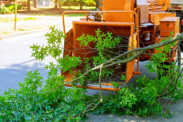 Mulching Services in Stuarts Draft, VA